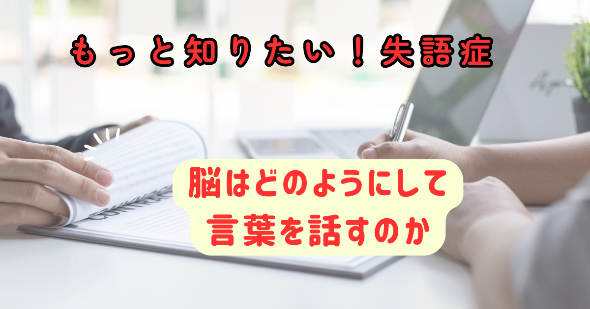 言葉を話す脳の仕組み～もっと知りたい失語症その５～言語聴覚士のお仕事